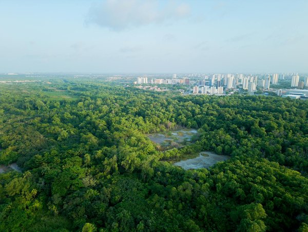 De la scène à l'écran : les adaptations cinématographiques de pièces de théâtre