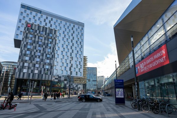 Création d'une pépinière de plantes indigènes